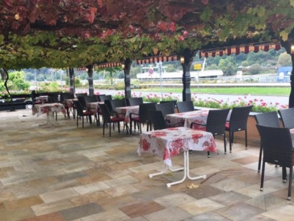 照片: Unter den Linden 